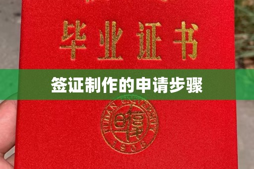 桐城签证制作的申请步骤