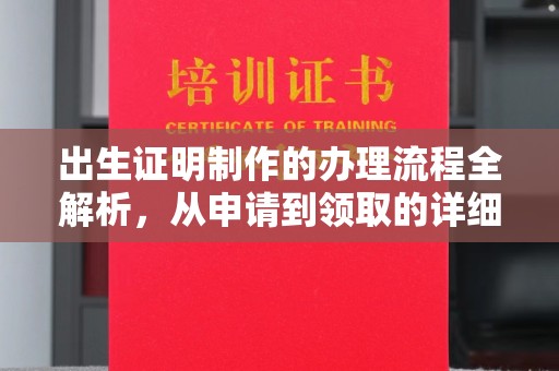 桐城出生证明制作的办理流程全解析，从申请到领取的详细指南