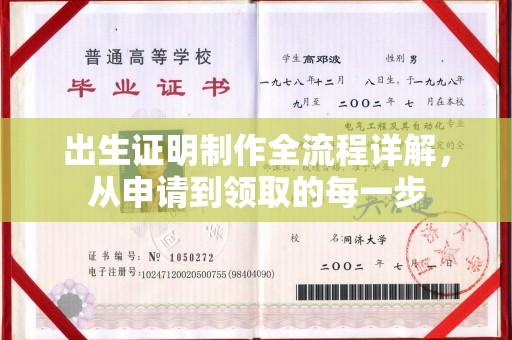 桐城出生证明制作全流程详解，从申请到领取的每一步