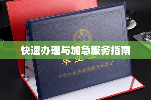 桐城快速办理与加急服务指南