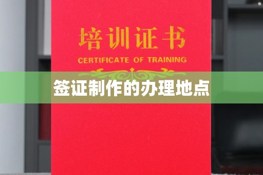 桐城签证制作的办理地点
