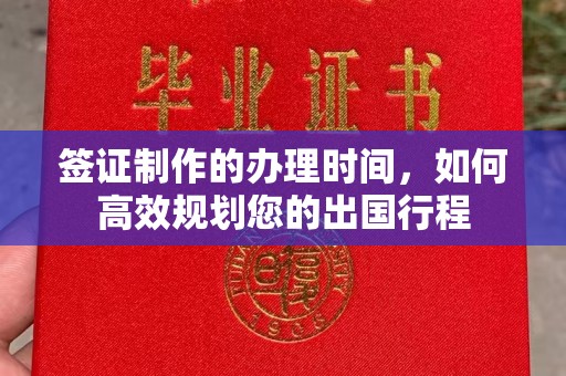 桐城签证制作的办理时间，如何高效规划您的出国行程