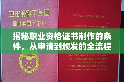 桐城揭秘职业资格证书制作的条件，从申请到颁发的全流程解析