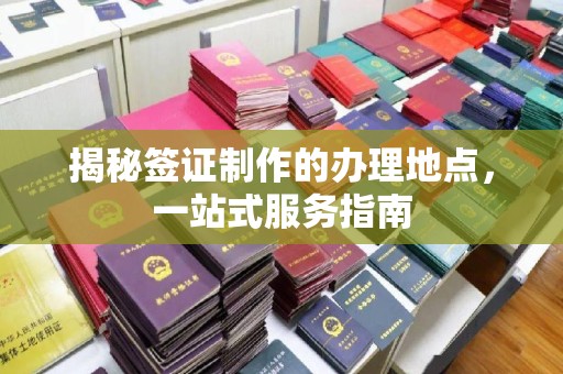 桐城揭秘签证制作的办理地点，一站式服务指南