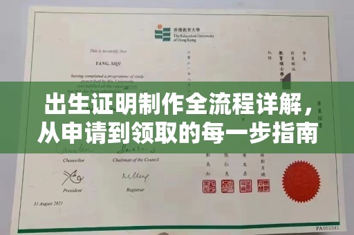 桐城出生证明制作全流程详解，从申请到领取的每一步指南