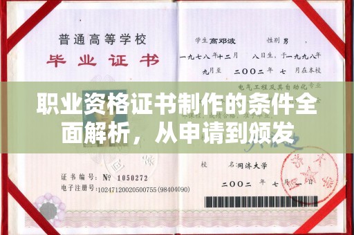 桐城职业资格证书制作的条件全面解析，从申请到颁发