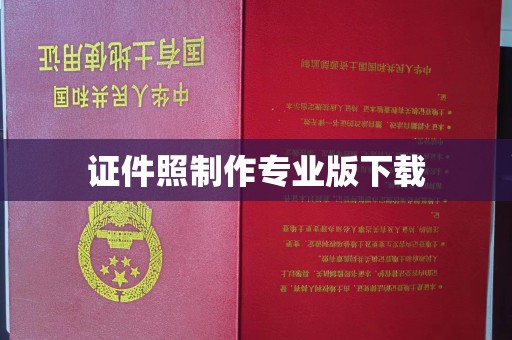 桐城证件照制作专业版下载