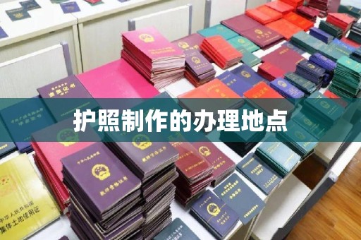 桐城护照制作的办理地点