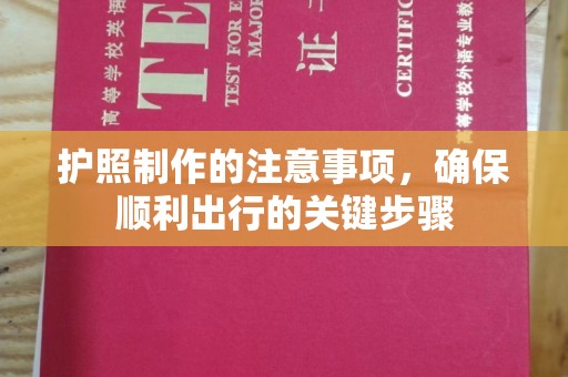 桐城护照制作的注意事项，确保顺利出行的关键步骤