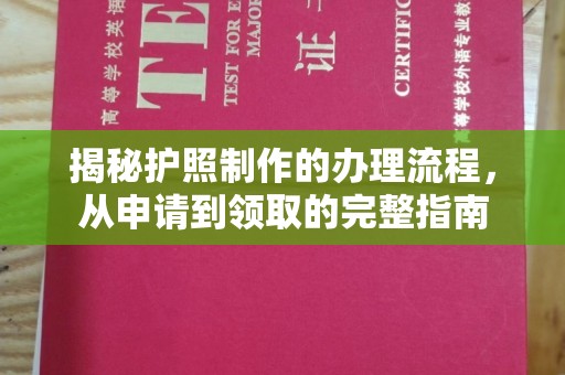 桐城揭秘护照制作的办理流程，从申请到领取的完整指南