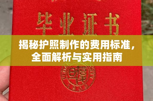 桐城揭秘护照制作的费用标准，全面解析与实用指南