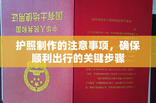 桐城护照制作的注意事项，确保顺利出行的关键步骤