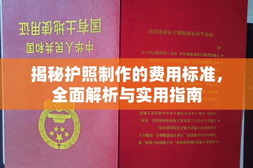 桐城揭秘护照制作的费用标准，全面解析与实用指南