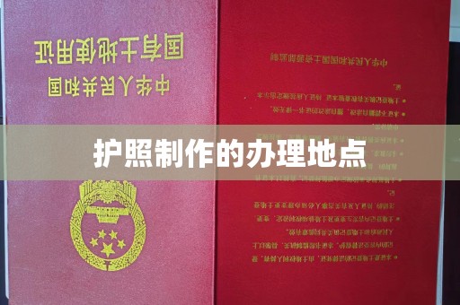 桐城护照制作的办理地点