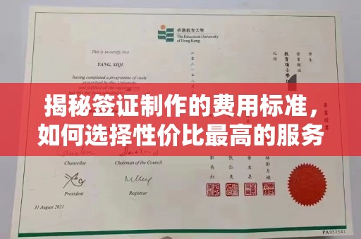 桐城揭秘签证制作的费用标准，如何选择性价比最高的服务？