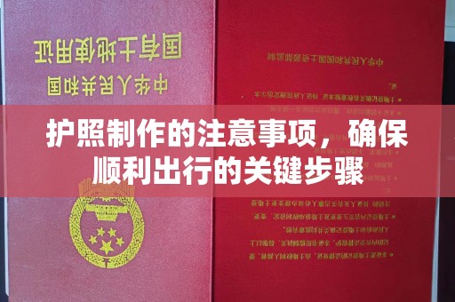 桐城护照制作的注意事项，确保顺利出行的关键步骤