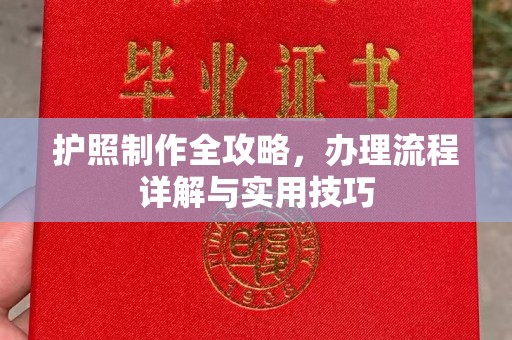 桐城护照制作全攻略，办理流程详解与实用技巧