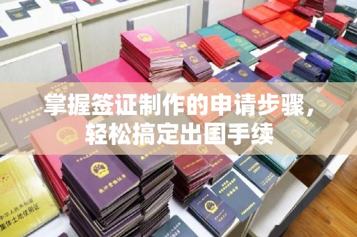 桐城掌握签证制作的申请步骤，轻松搞定出国手续